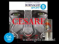 Bornaghi Cesare 24, 12/70