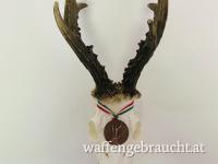 Rehbockjagd in Ostungarn 350-550g