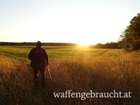 Abschusshirsche und Kahlwild in Ungarn