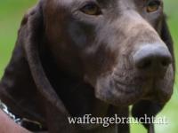 Geburtstag Anlässe Geschenke 