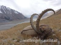 Steinbockjagd in Kirgistan