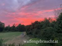 Ausgerecht in den Donau Auen (Nähe Zwentendorf) - Jagdgelegenheit Nähe Wien