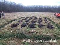 LAST MINUTE!! Riegeljagd in Ungarn 24.-25.01 2025