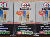 Sauvestre Flintenlaufgeschosse 20/76
