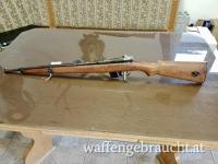 Bergmann Destroyer im Kaliber 9mm Bergmann