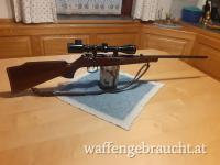 .22 wmr