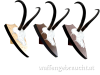 Trophäenschild Gams