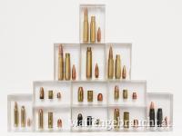 Ballistische Modelle - 9 mm - 9mm Makarov - 7,65 - 45 acp - 357 Mag - 44 Mag - 50AE - 223 rem - 7,62x39 - .308 - 8x57IS - .300