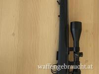 CZ 