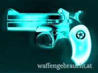 SELBSTVERTEIDIGUNG! DERRINGER BOND ARMS | 4,25" | Kal.45 LC / .410