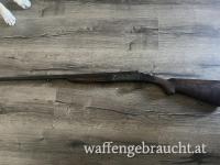 AyA Flinte 12/70