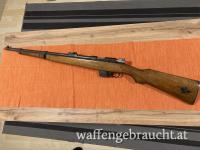 Bergmann Destroyer 9mm Bergmann