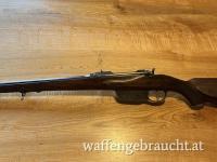 Steyr M95