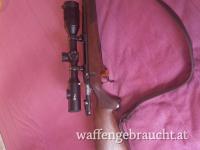 Steyr 300