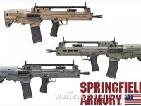 Springfield Hellion/ HS Produkt VHS-2s Bullpup