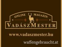 Kapitaler Rehbockjagd in Ostungarn