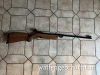 Walther LG55