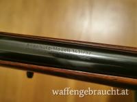 22 Hornet anschütz