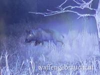 Tausch - Jagd 