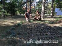 Wachtel und Tauben Jagd in Serbien!