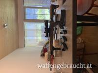 Ruger 10/22