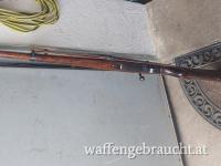 Zoll Karabiner 
