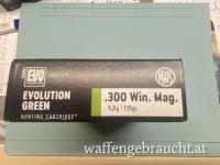 RWS 300 Win.Mag. 9,0g/139gr