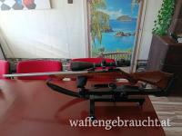 Einzelstück Kal 243 Shilen