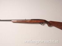 Winchester Mod 490 .22lr