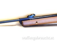 Gamo Big Cat Hunter Luftgewehr