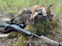 Steyr CL2 SX 30.06 Links