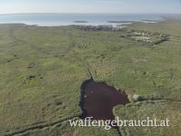 Seerevier inkl. Schalenwildmöglichkeit im Nordburgenland (Neusiedler See)