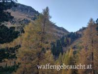 Gamsjagd in Osttirol - Defereggental