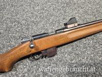 Bergmann Destroyer 9x19