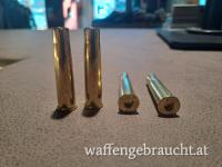 Hülsen 8,15x46R SHM