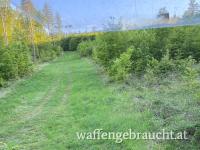 Waldjagdrevier im Bezirk Oberpullendorf (Burgenland)