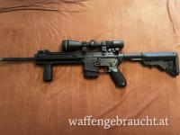 AR 15 Sig Sauer Patrol