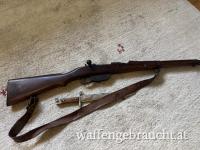 Steyr M95