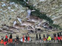Teilnahme an einer Riegeljagd in Tschechien !