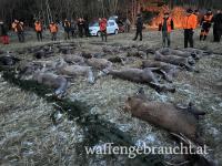 Geboten wird die Teilnahme an einer Riegeljagd in Tschechien !