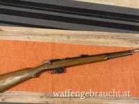 Bergmann Destroyer 9mm Bergmann