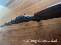 Steyr Mannlicher SBS System 300 Win. Mag.