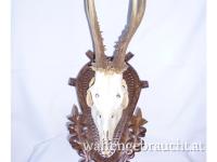 Nr. 6: Rehtrophäe auf handgeschnitztem Schild