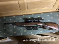 Steyr Mannlicher 243 L