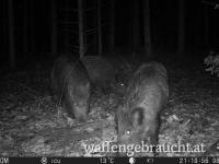 Urlaub mit Jagdmöglichkeit