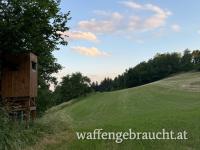 🌿 Geführtes Ausgehrecht für Jungjäger /-innen in der Jagdsaison 2026 🌿