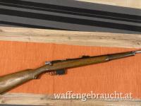 Bergmann Destroyer 9mm Bergmann