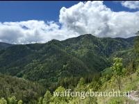 Ausgehrecht für 2026 im Mürzer Oberland / Jungjäger willkommen