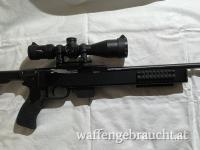 ISSC .22 WMR