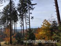 Abschusspaket im Dunkelsteinerwald zu vergeben